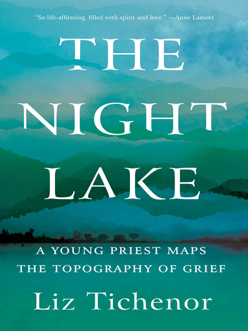 Cover image for The Night Lake